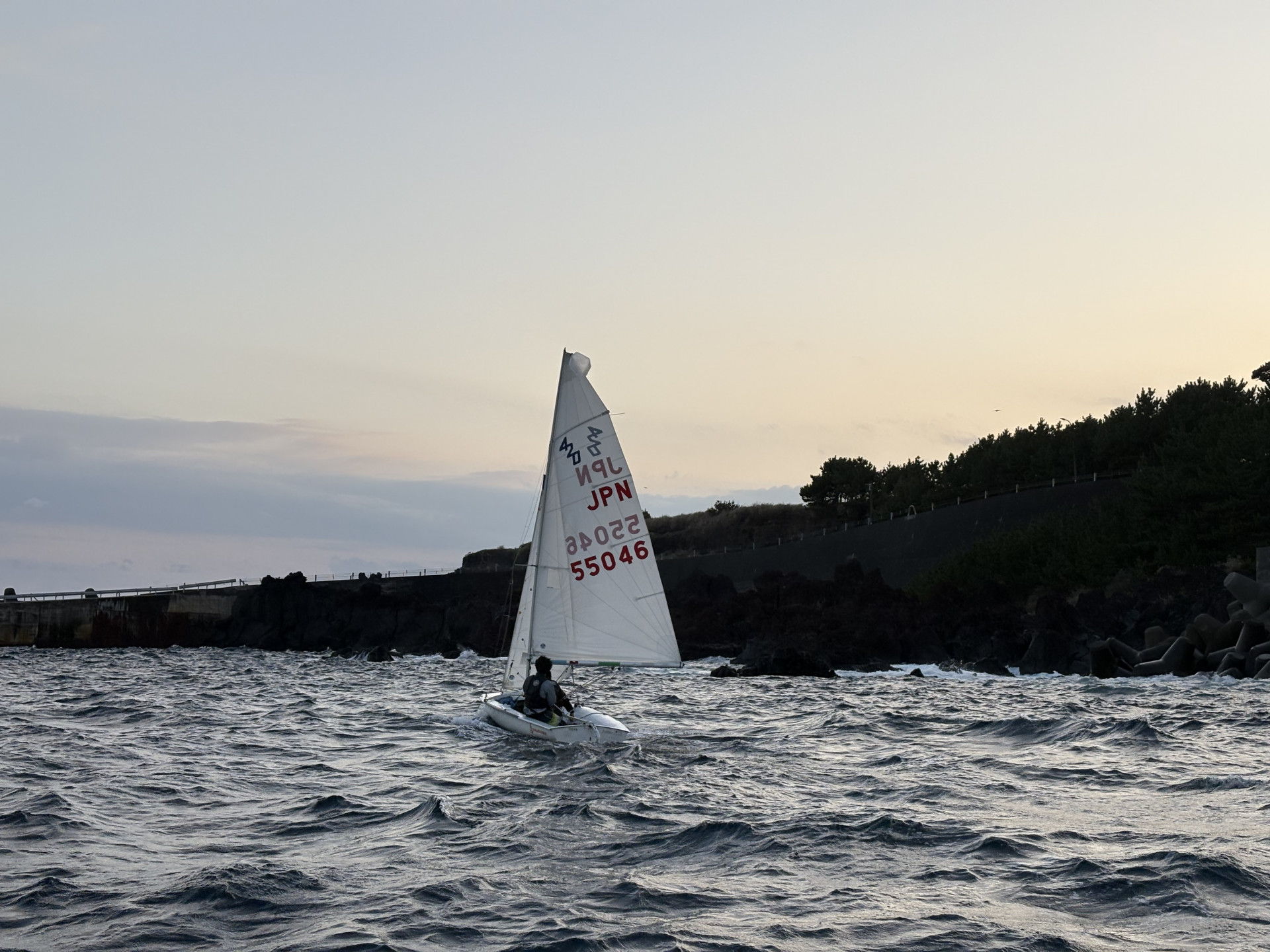 画像 -20251108-072639-ce7c83bc